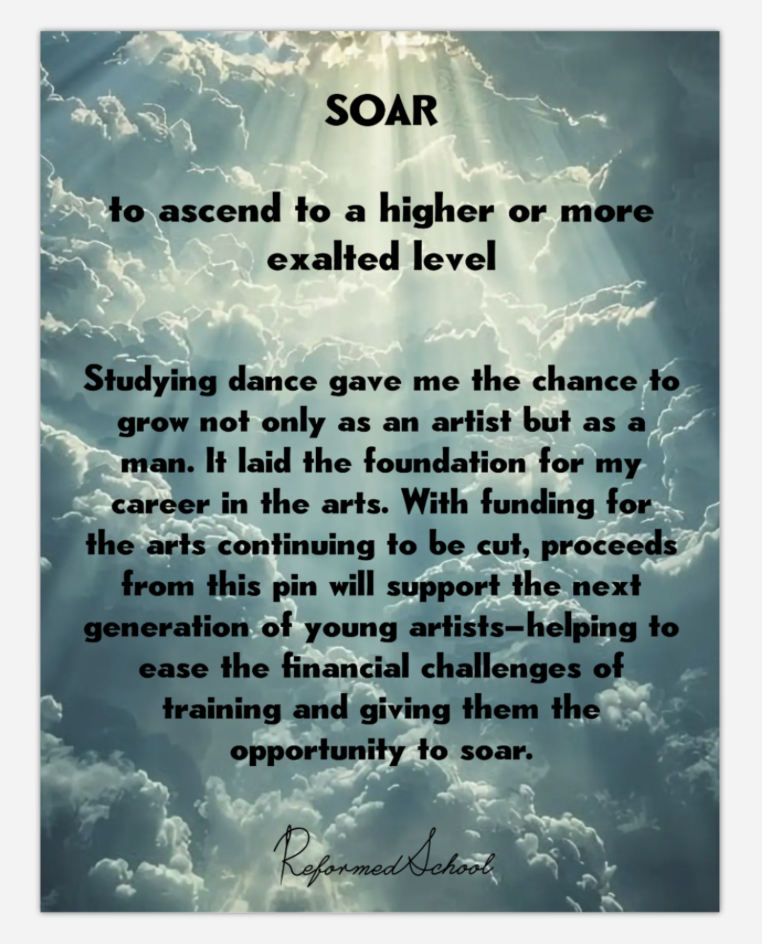 Soar - 3D Enamel Pin
