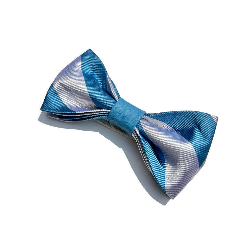 Silk Pre-tied Bow Tie